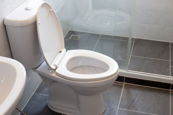 Cost of Toilet Replacement in Englewood