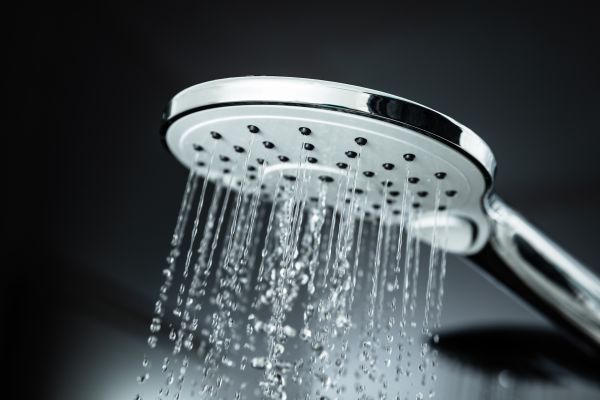 Cost of Shower Head Replacement in Englewood