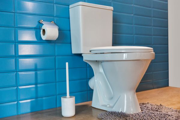 Cost of Toilet Tank Repair in Englewood