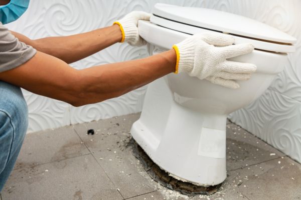 Cost of Toilet Removal in Englewood