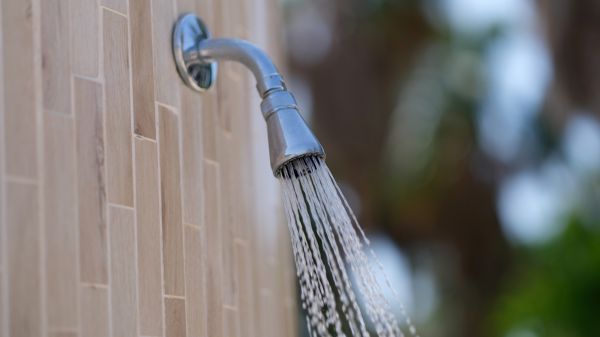 Cost of Showerhead Repair in Englewood