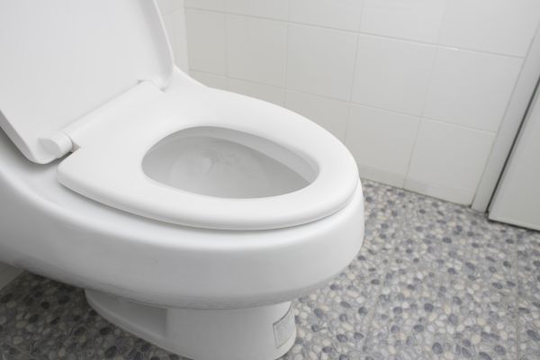 Cost of New Toilet Installation in Englewood